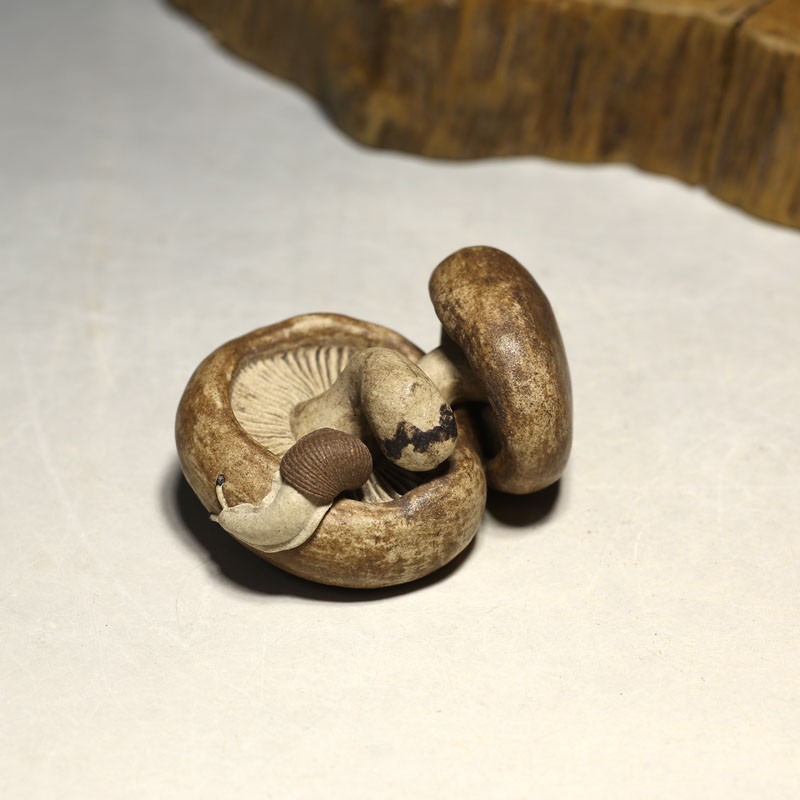 蘑菇蜗牛